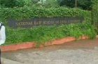 National Law Institute student allegedly gang-raped in Bangalore